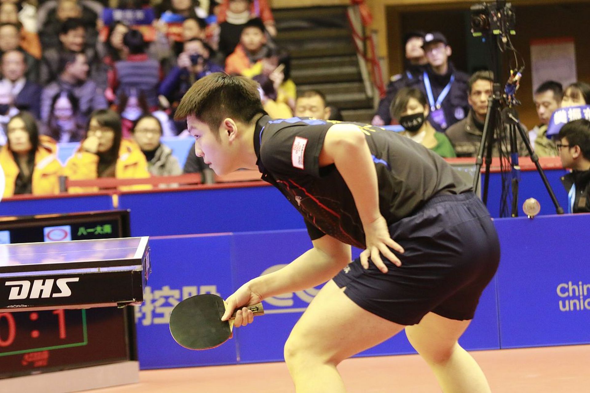 包含德国乒乓球队碾压奥地利乒乓球队，樊振东完成帽子戏法的词条