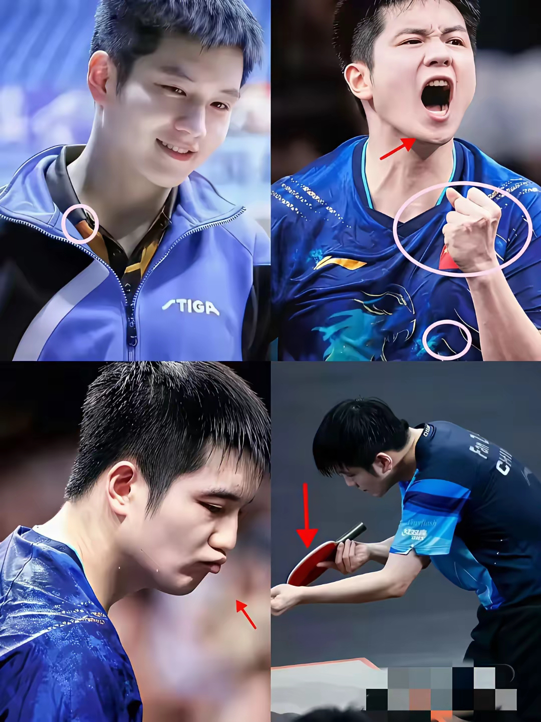 包含德国乒乓球队碾压奥地利乒乓球队，樊振东完成帽子戏法的词条