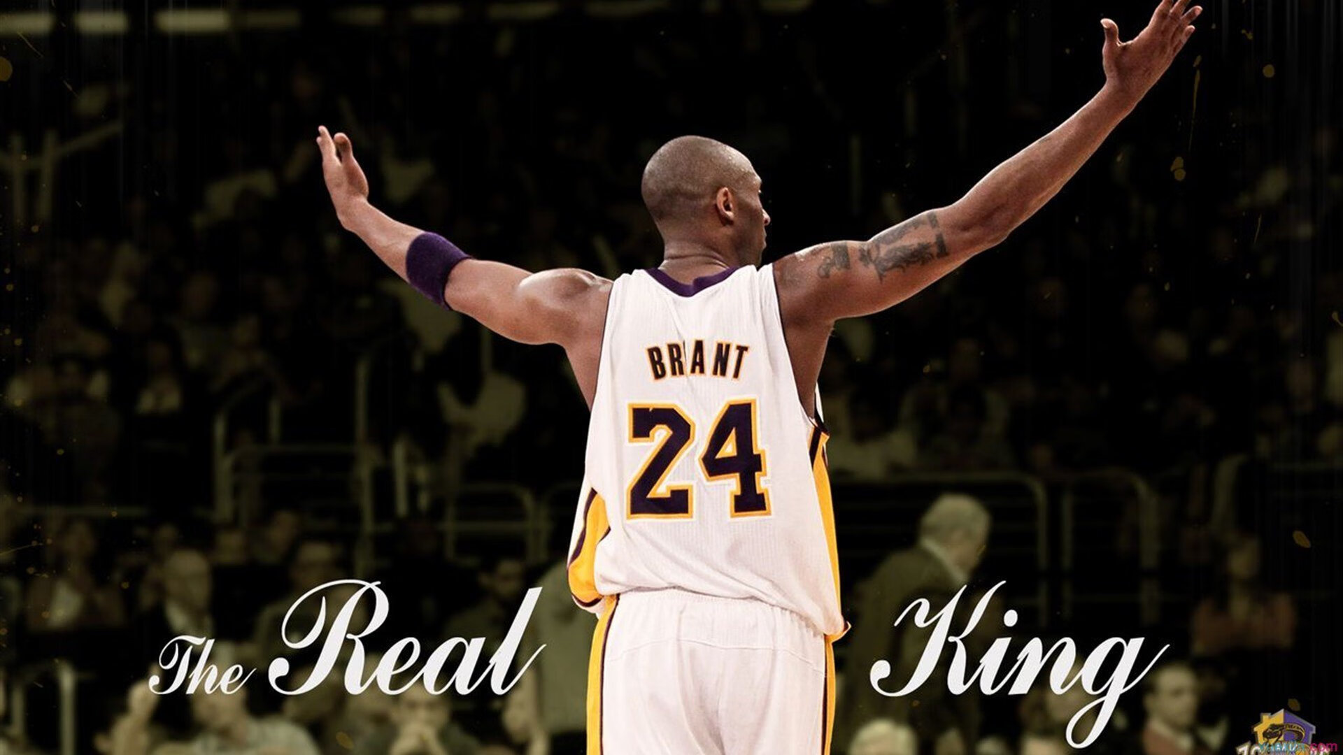 森林狼对阵奇才，拉梅洛·鲍尔高光表现引爆全场