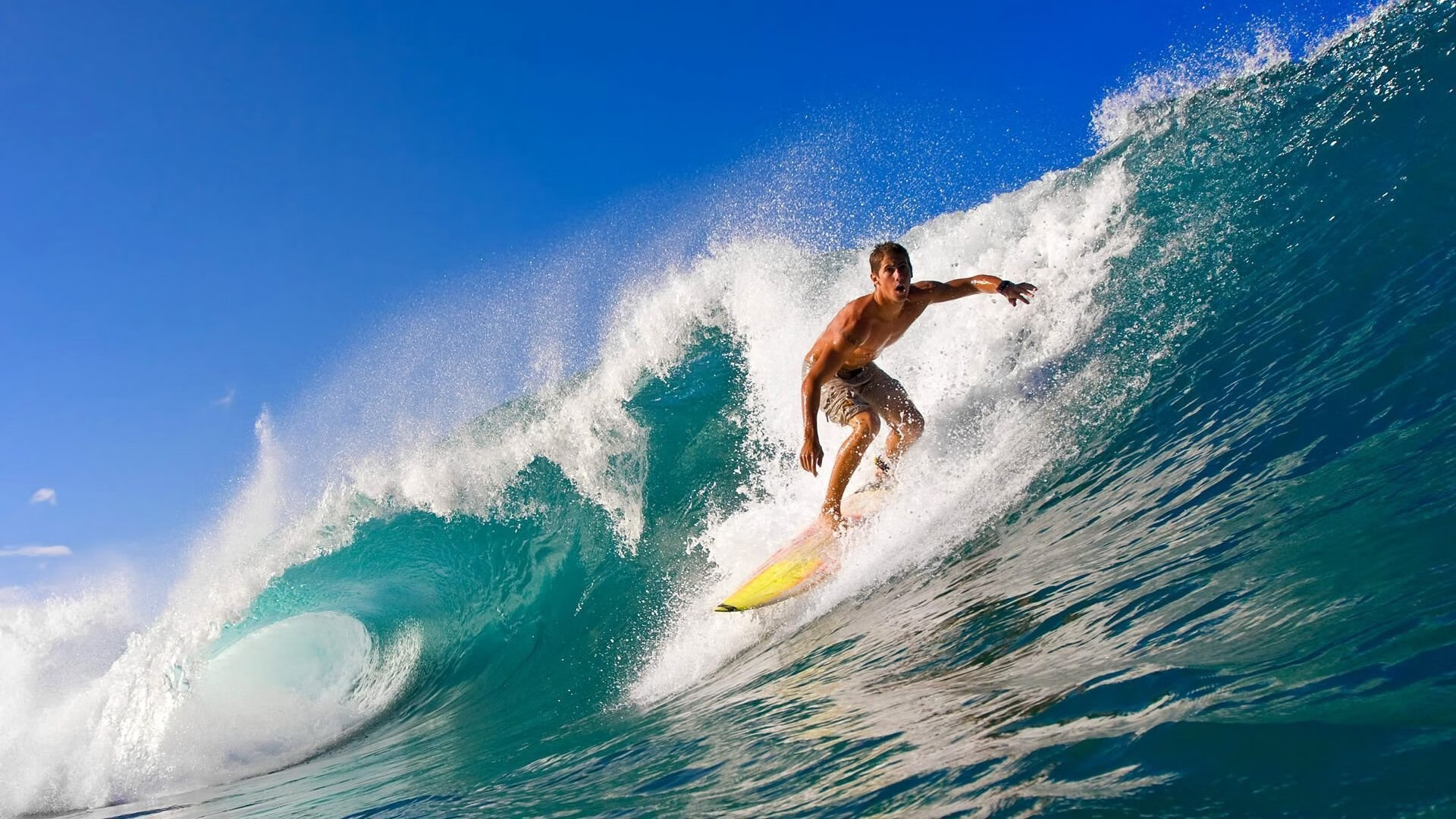 努涅斯赛后评分拉满，土耳其式坚韧如何让拜仁陷入苦战？